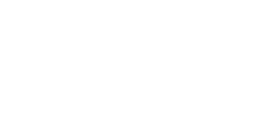 PULSO Studio