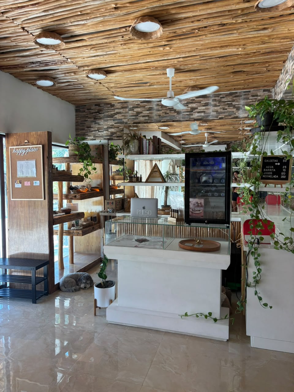 Recepción y tienda PULSO Studio